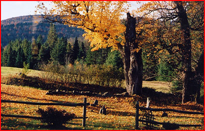 View of fall colors in Vermont