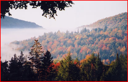 Beautiful fall scene