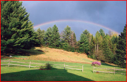 A beautiful rainbow as viewed from the back yard.