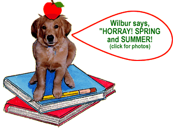 Wilbur says, "Here comes Fall and Winter! Stay Warm! (click for photos)